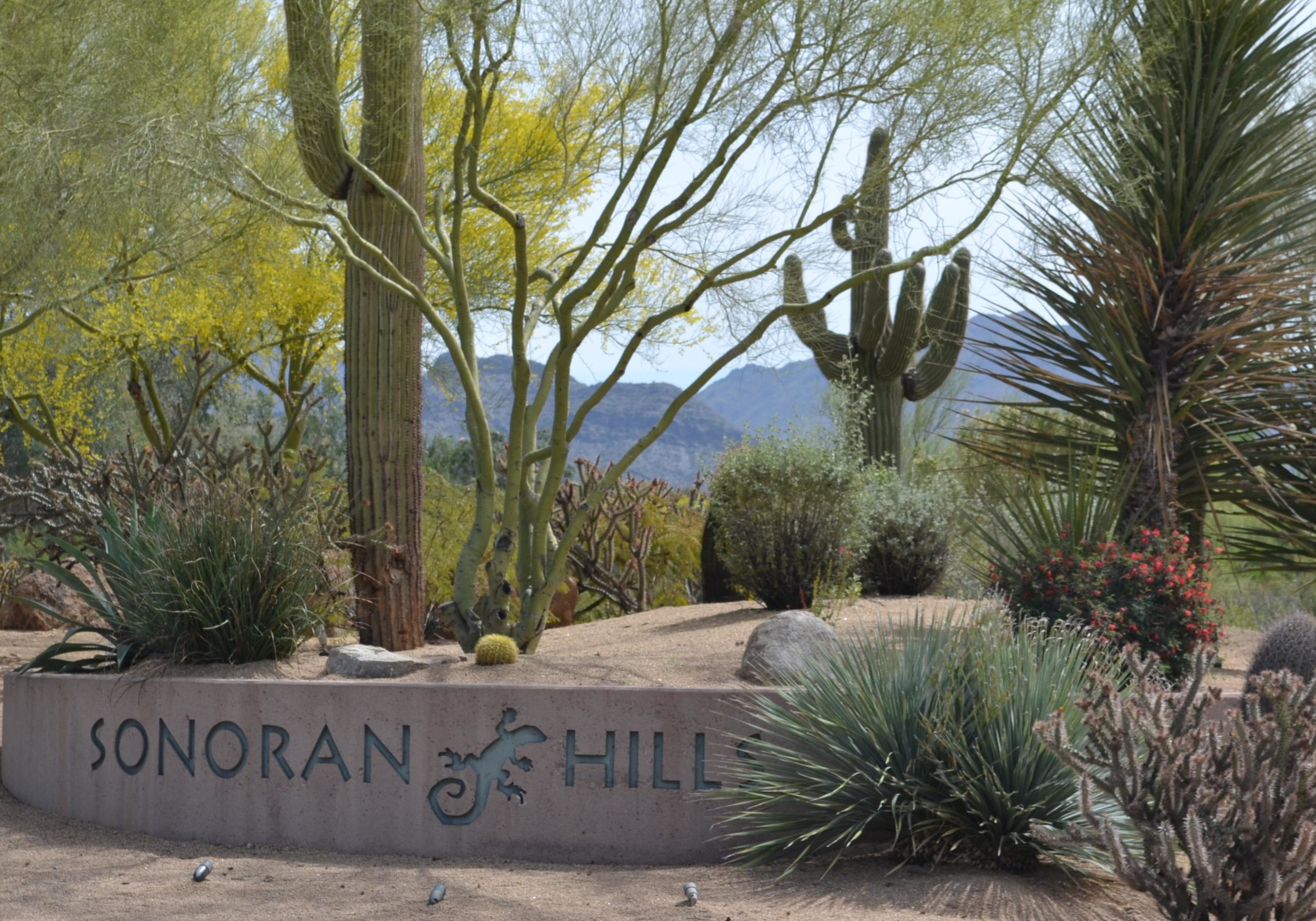 Sonoran Hills entrance photo