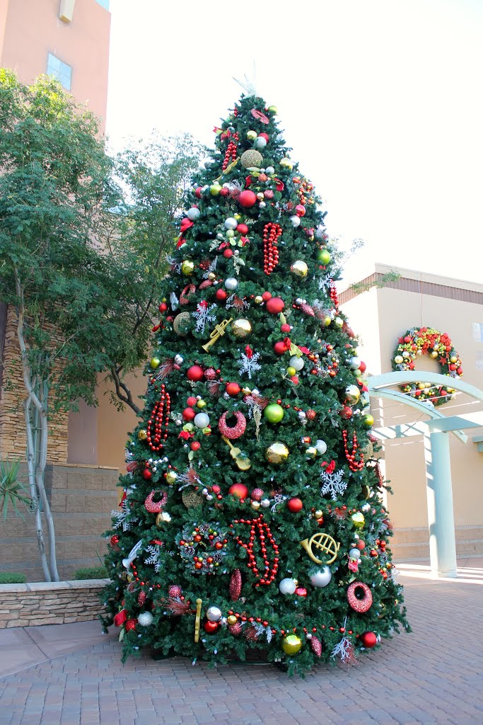 christmas tree photo