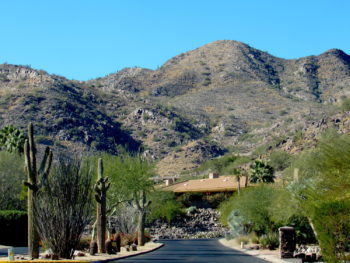 Paradise Valley real estate photo