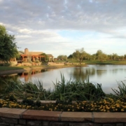 Greyhawk